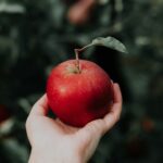 सेव खाने के फायदे, गुण और जोखिम कारक क्या है?